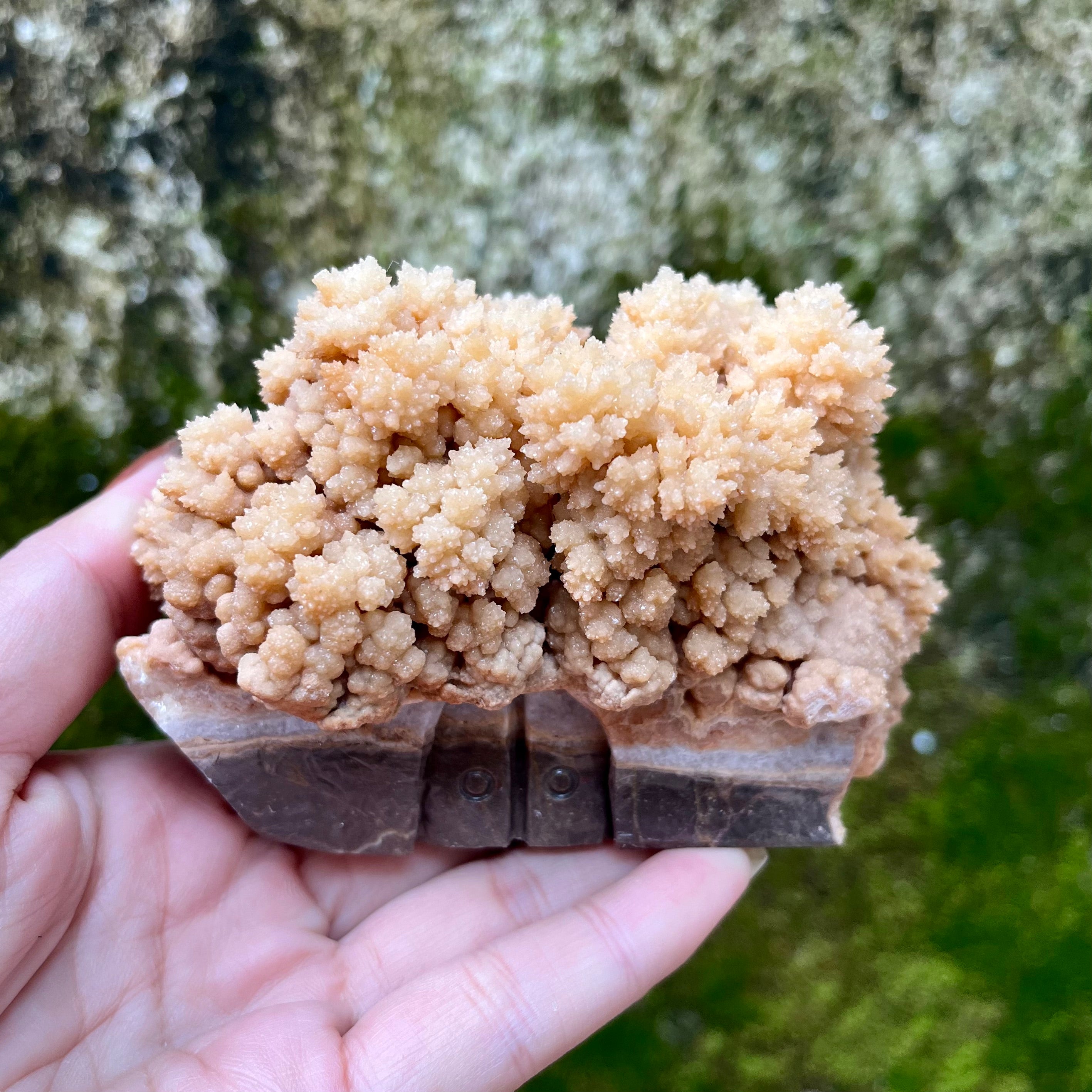 Stalactite Raw Cut Mushroom House Carvings