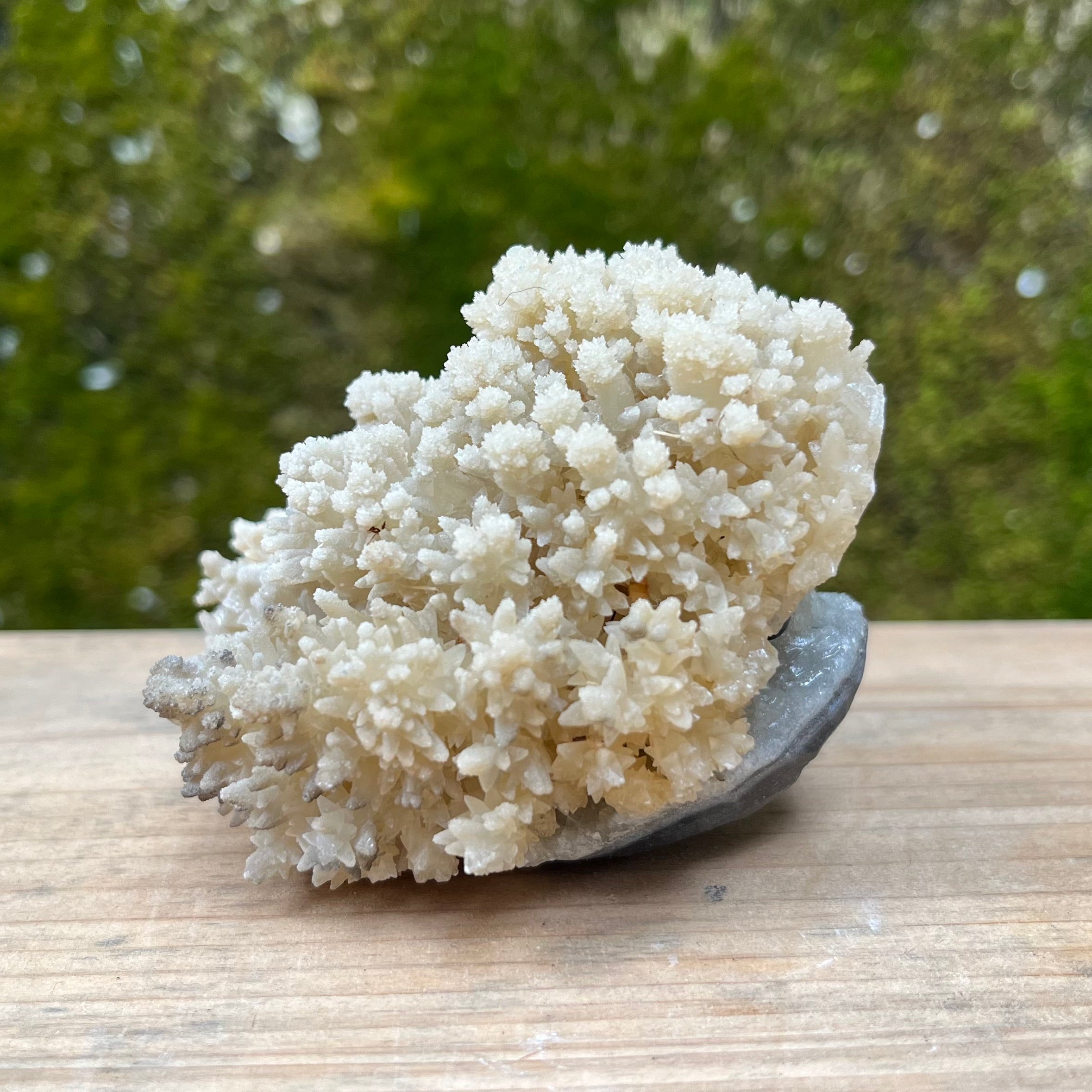 Stalactite Raw Cut Hedgehog Carving