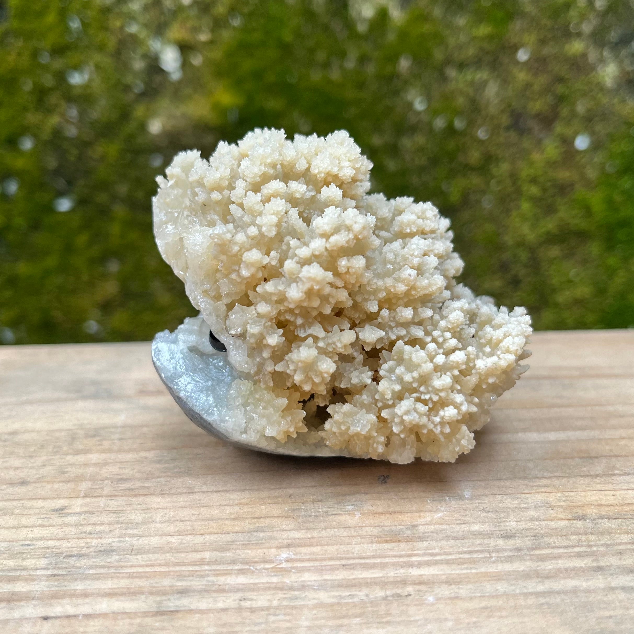 Stalactite Raw Cut Hedgehog Carving