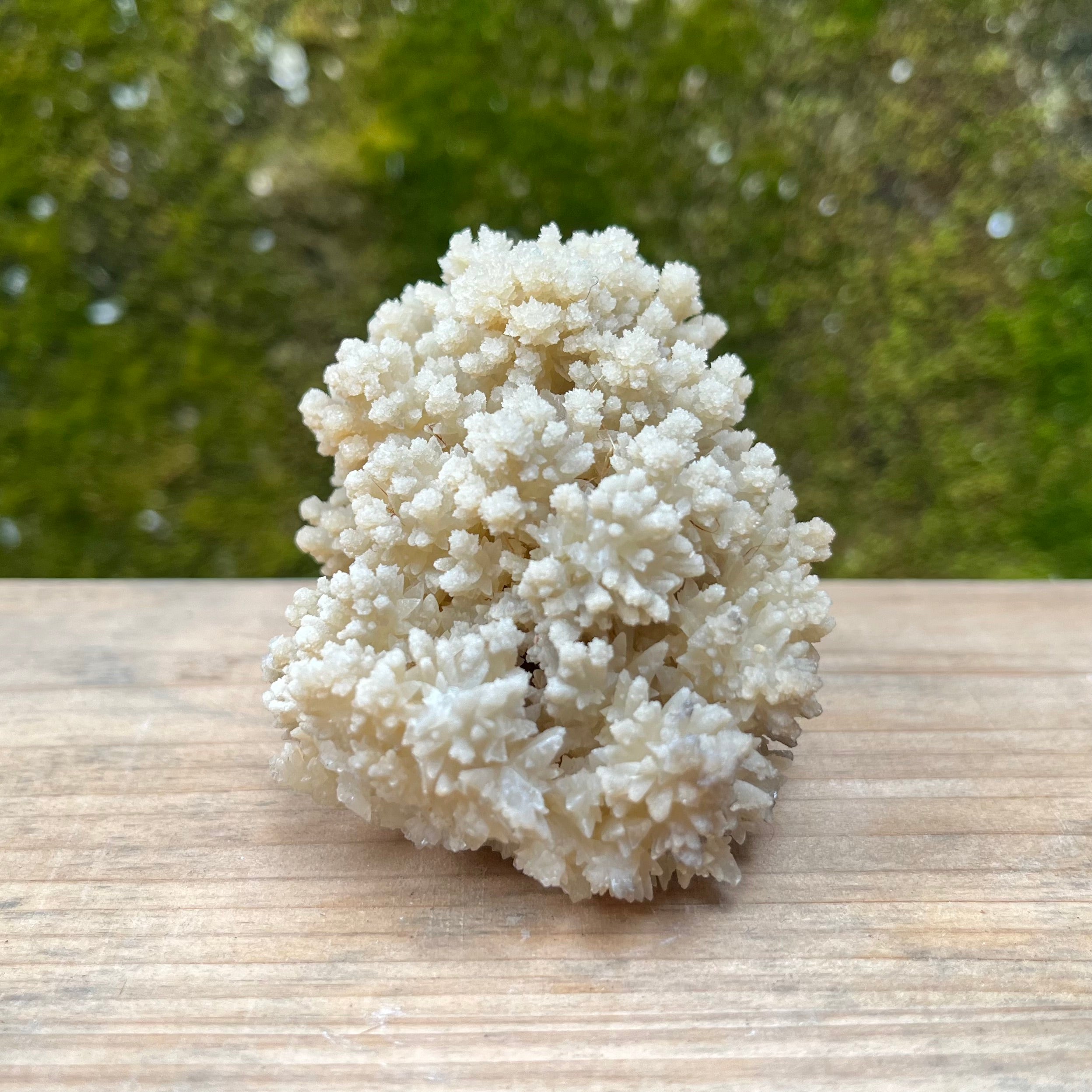 Stalactite Raw Cut Hedgehog Carving