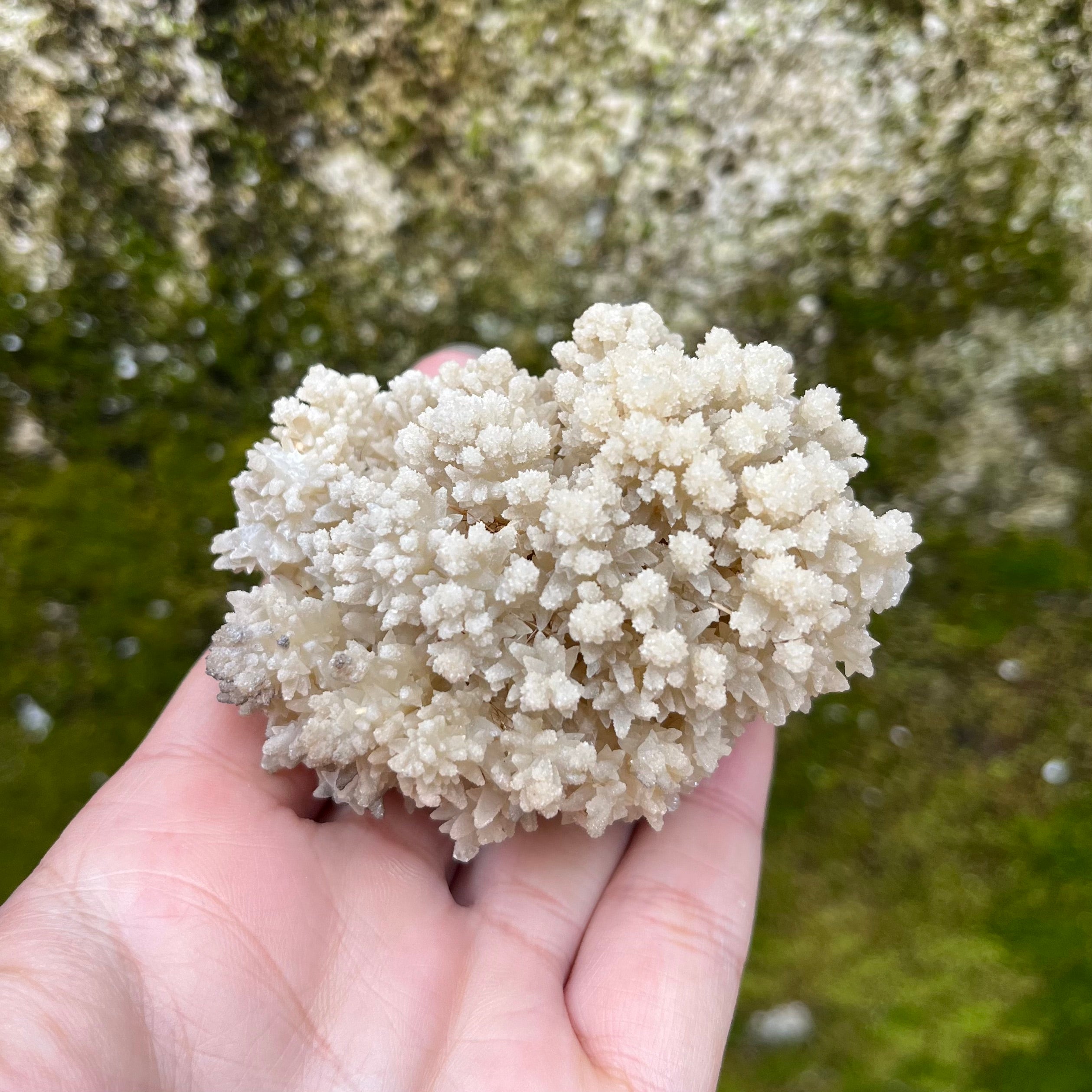 Stalactite Raw Cut Hedgehog Carving