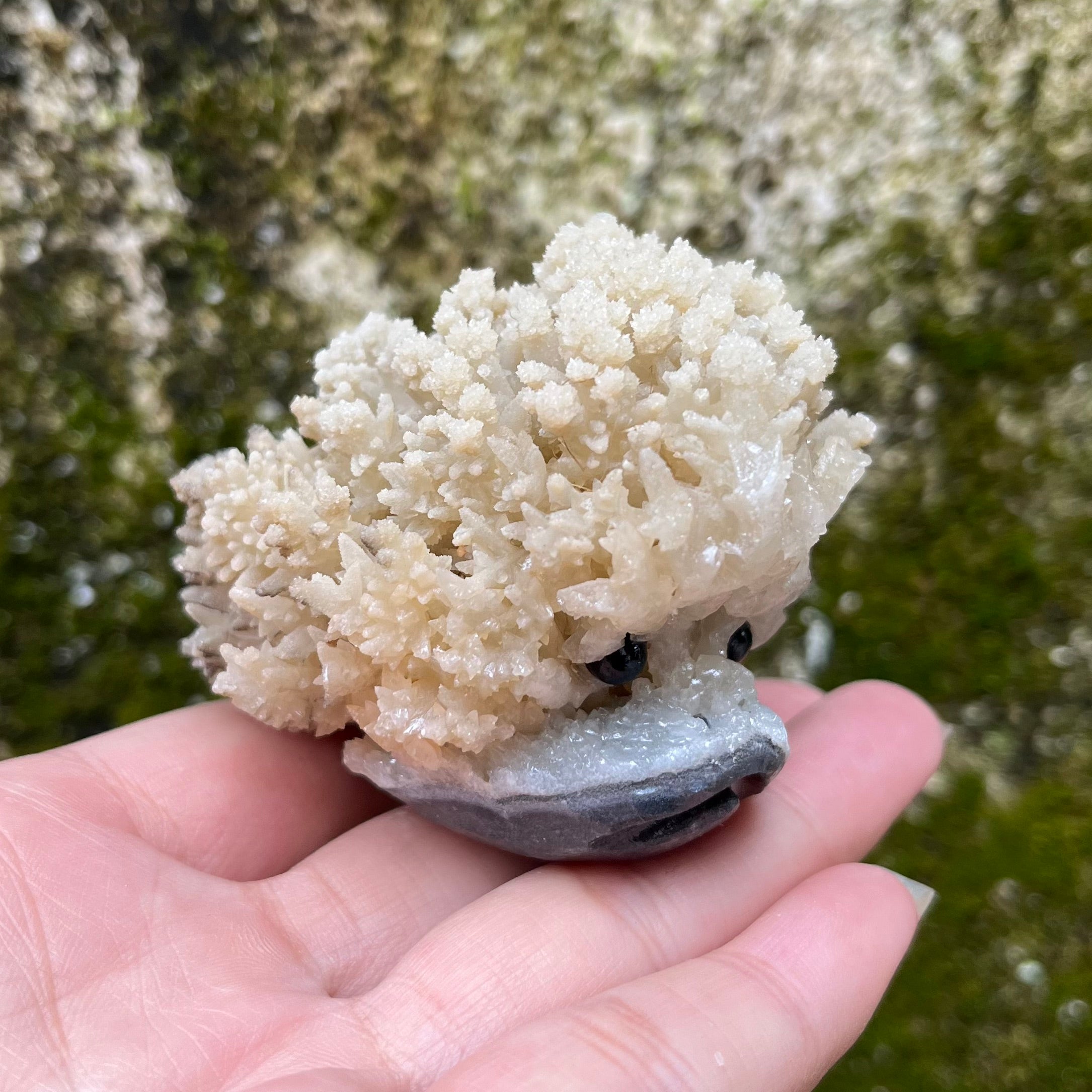 Stalactite Raw Cut Hedgehog Carving