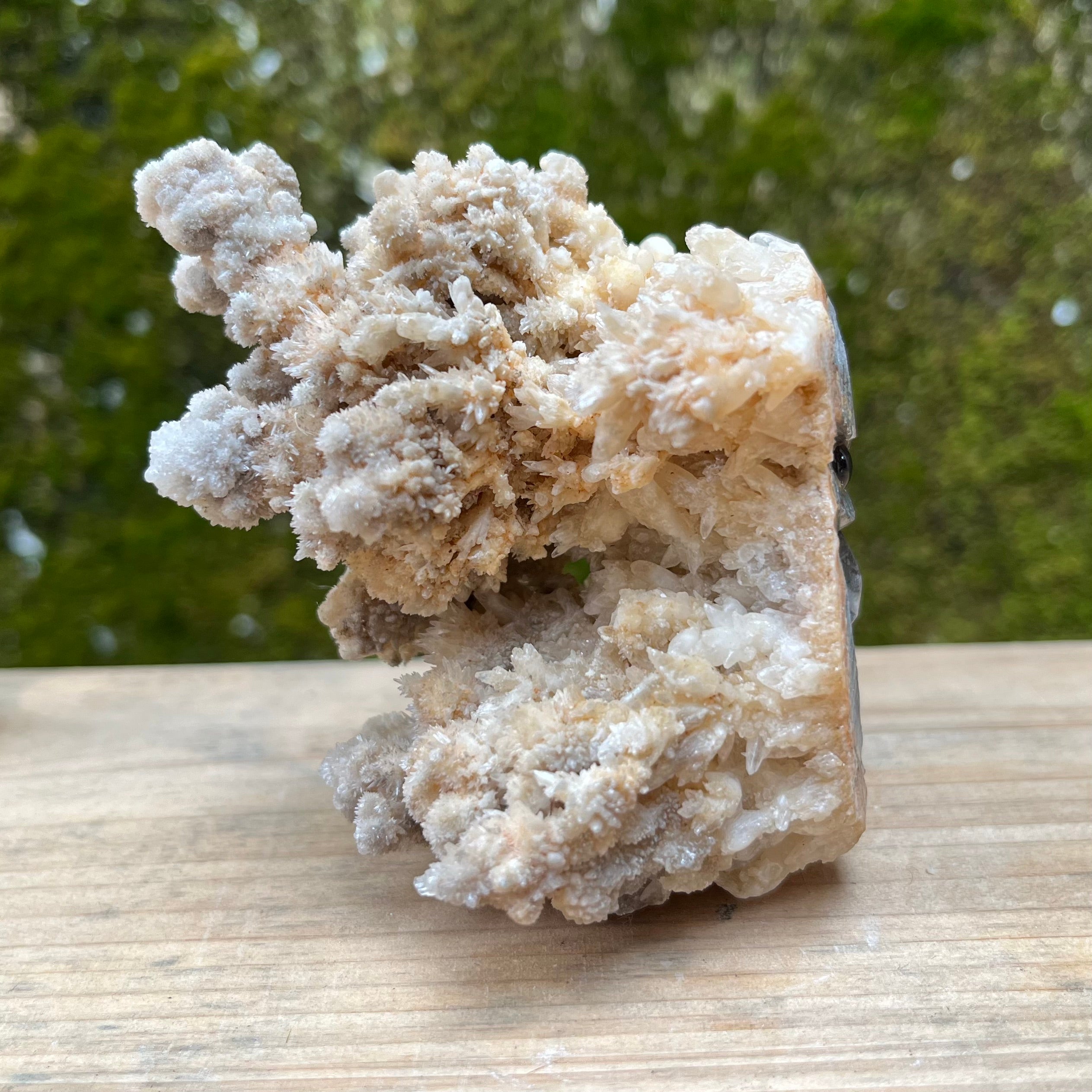 Stalactite Raw Cut Owl Carving