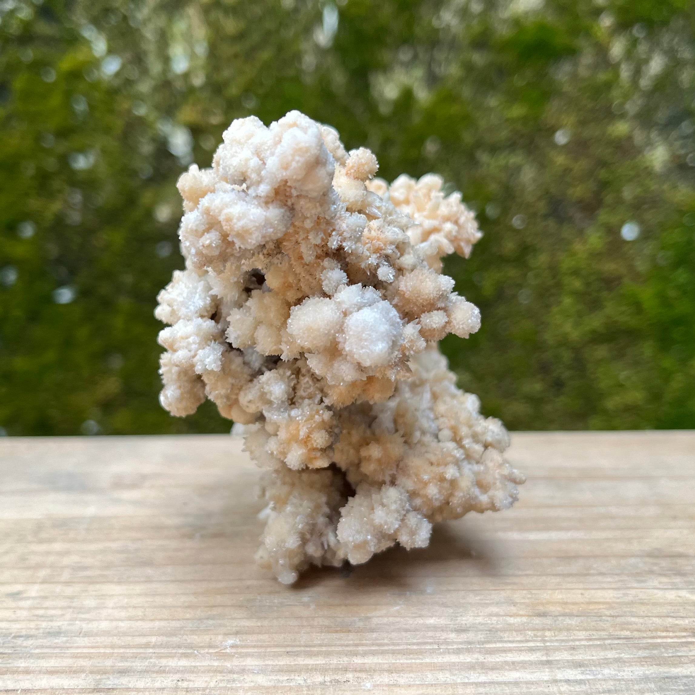 Stalactite Raw Cut Owl Carving