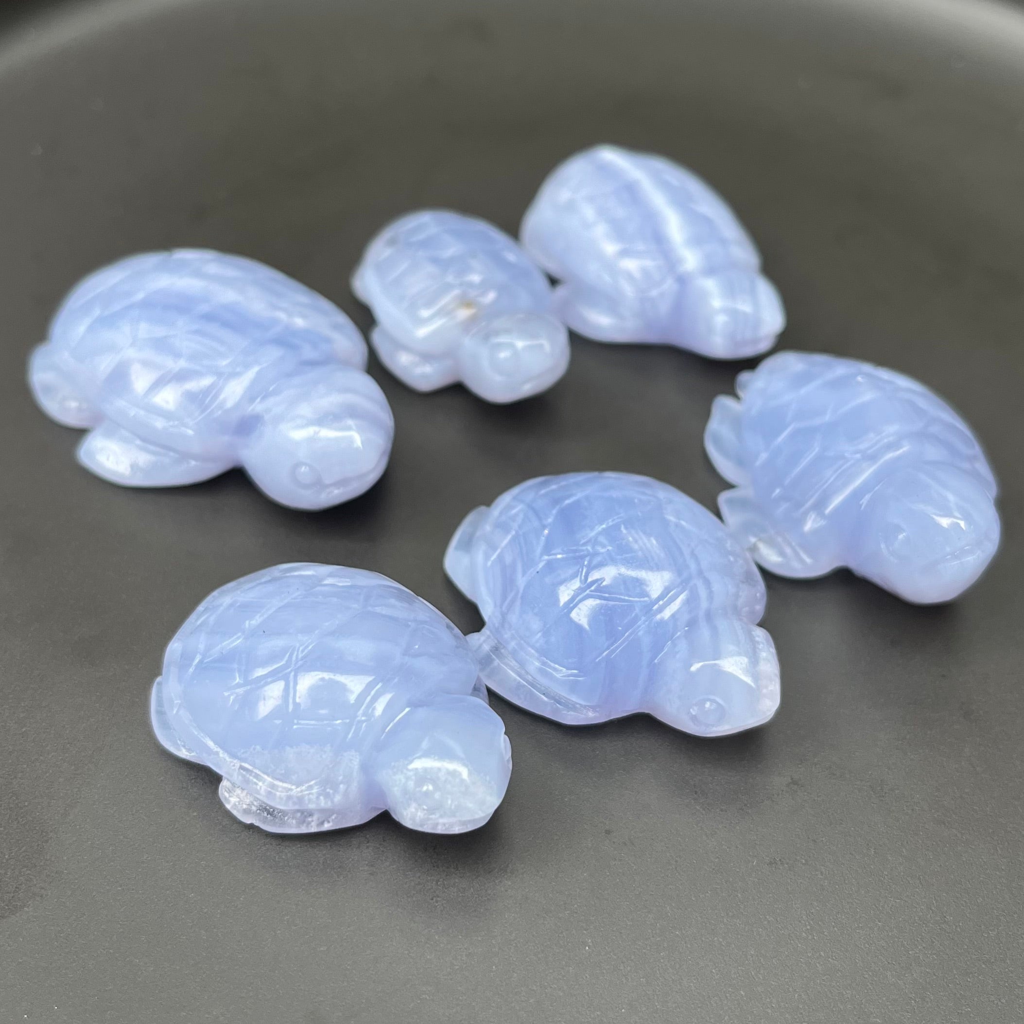 6PCS Blue Lace Agate Turtle Carvings