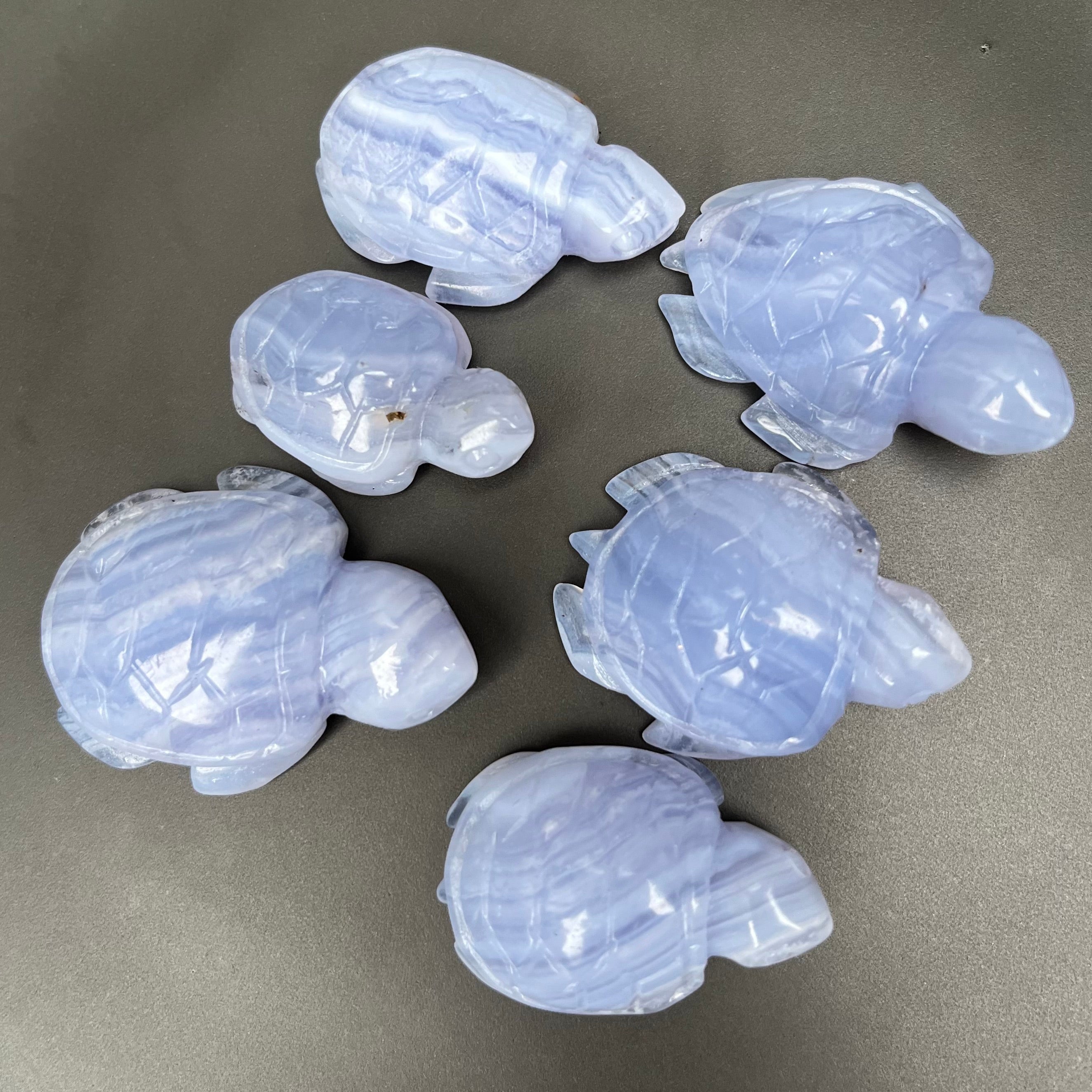 6PCS Blue Lace Agate Turtle Carvings