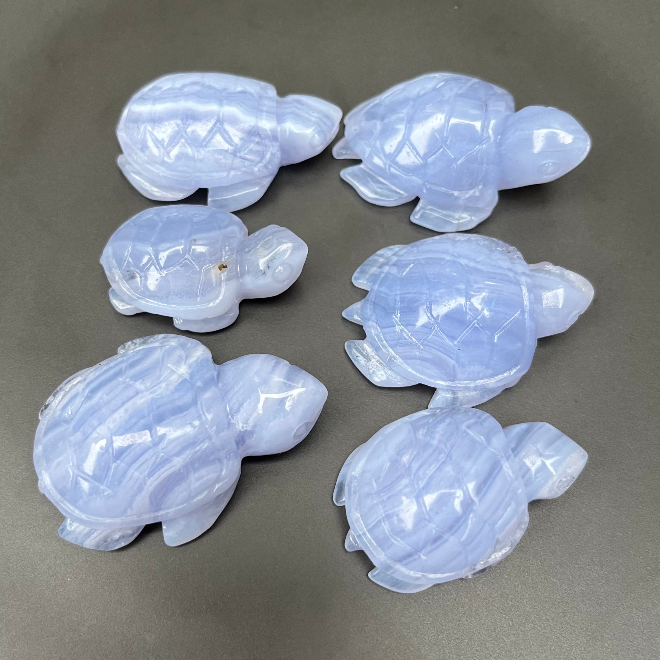 6PCS Blue Lace Agate Turtle Carvings