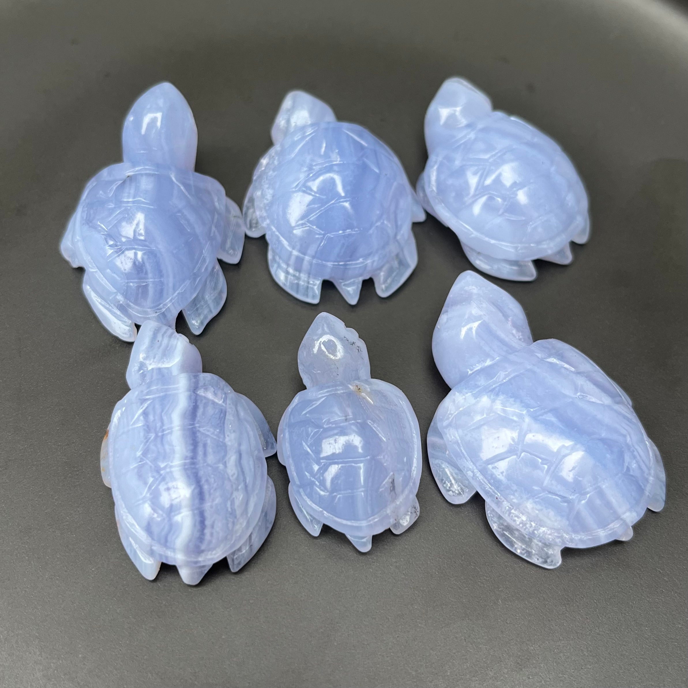 6PCS Blue Lace Agate Turtle Carvings