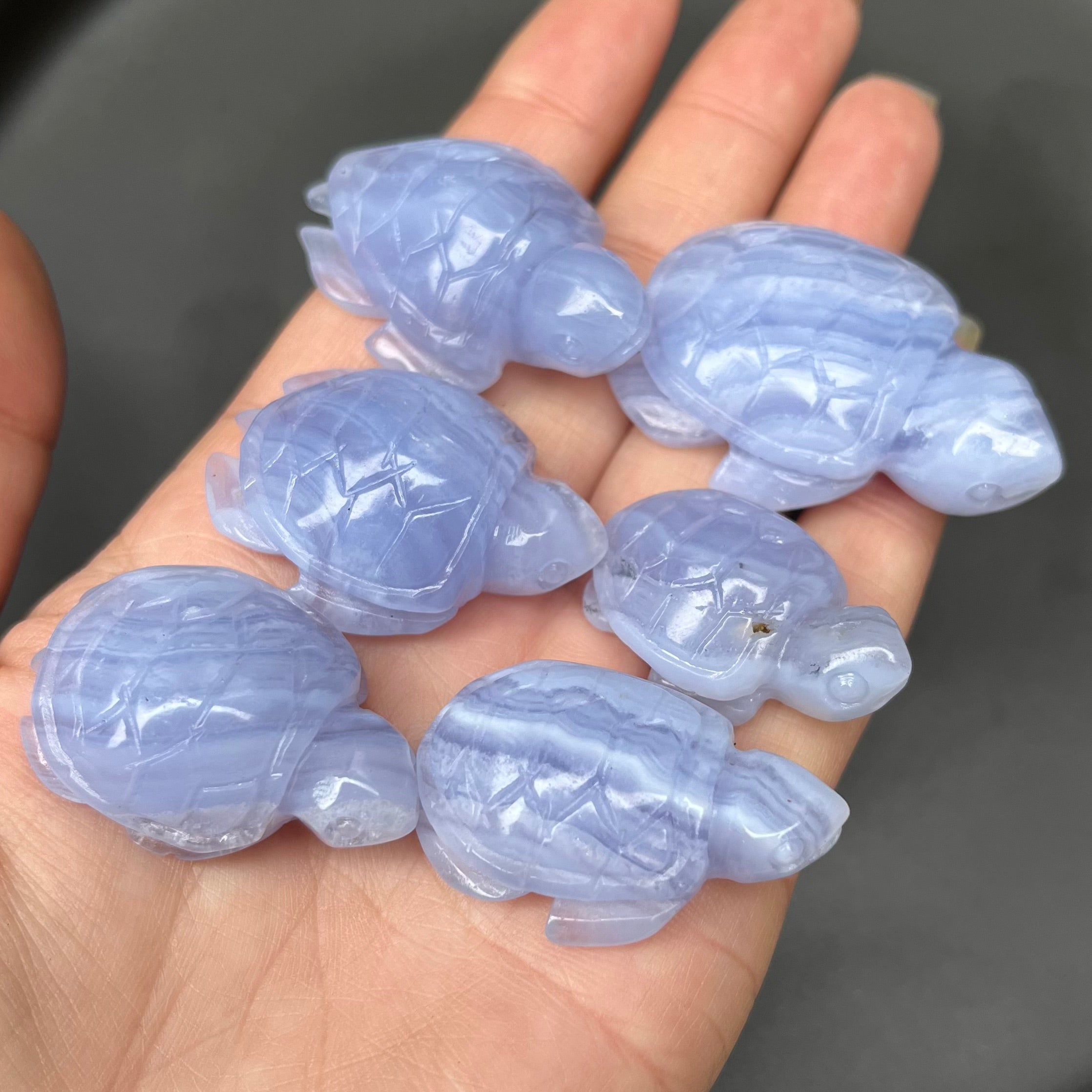 6PCS Blue Lace Agate Turtle Carvings