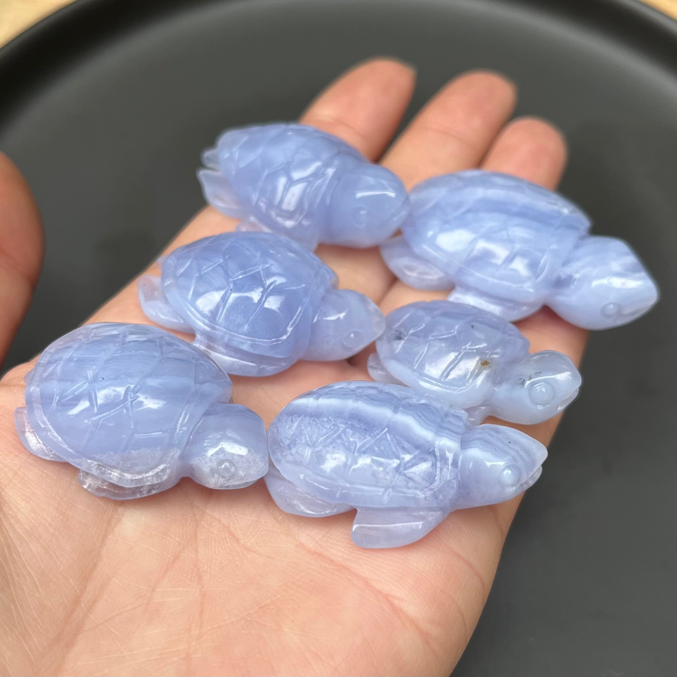 6PCS Blue Lace Agate Turtle Carvings