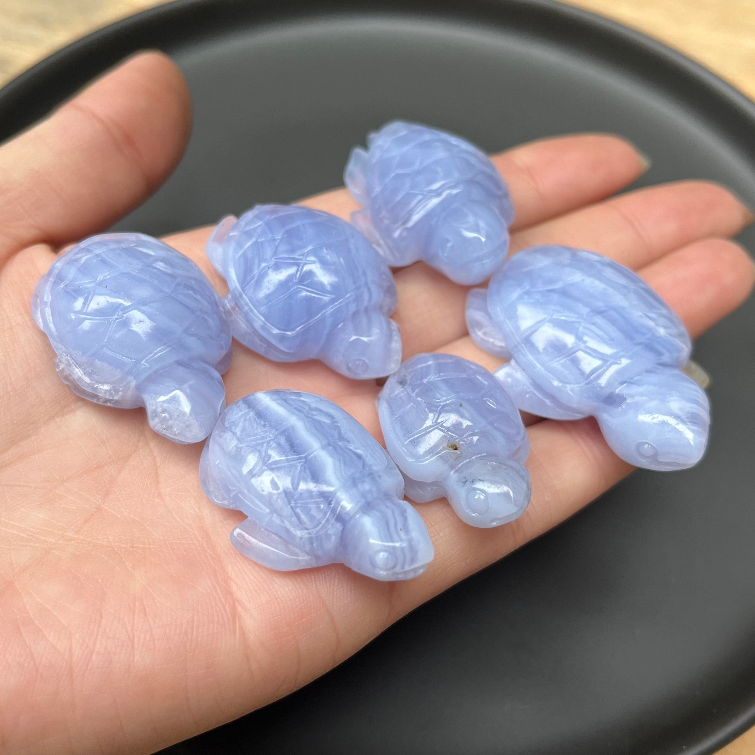 6PCS Blue Lace Agate Turtle Carvings