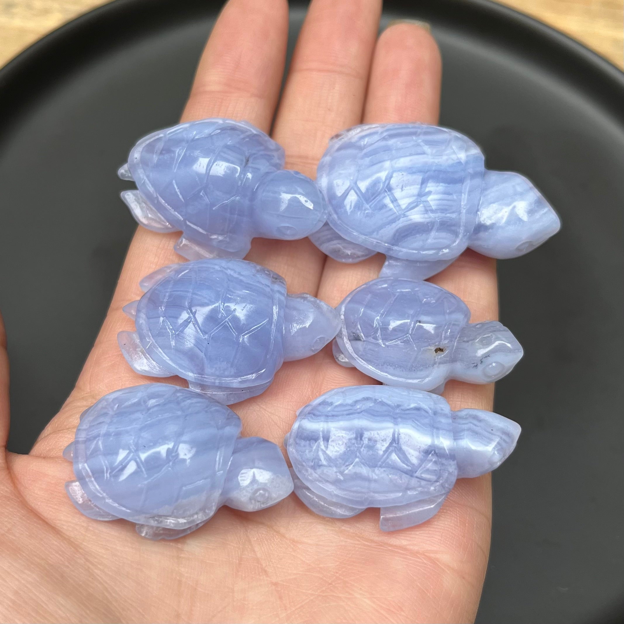 6PCS Blue Lace Agate Turtle Carvings
