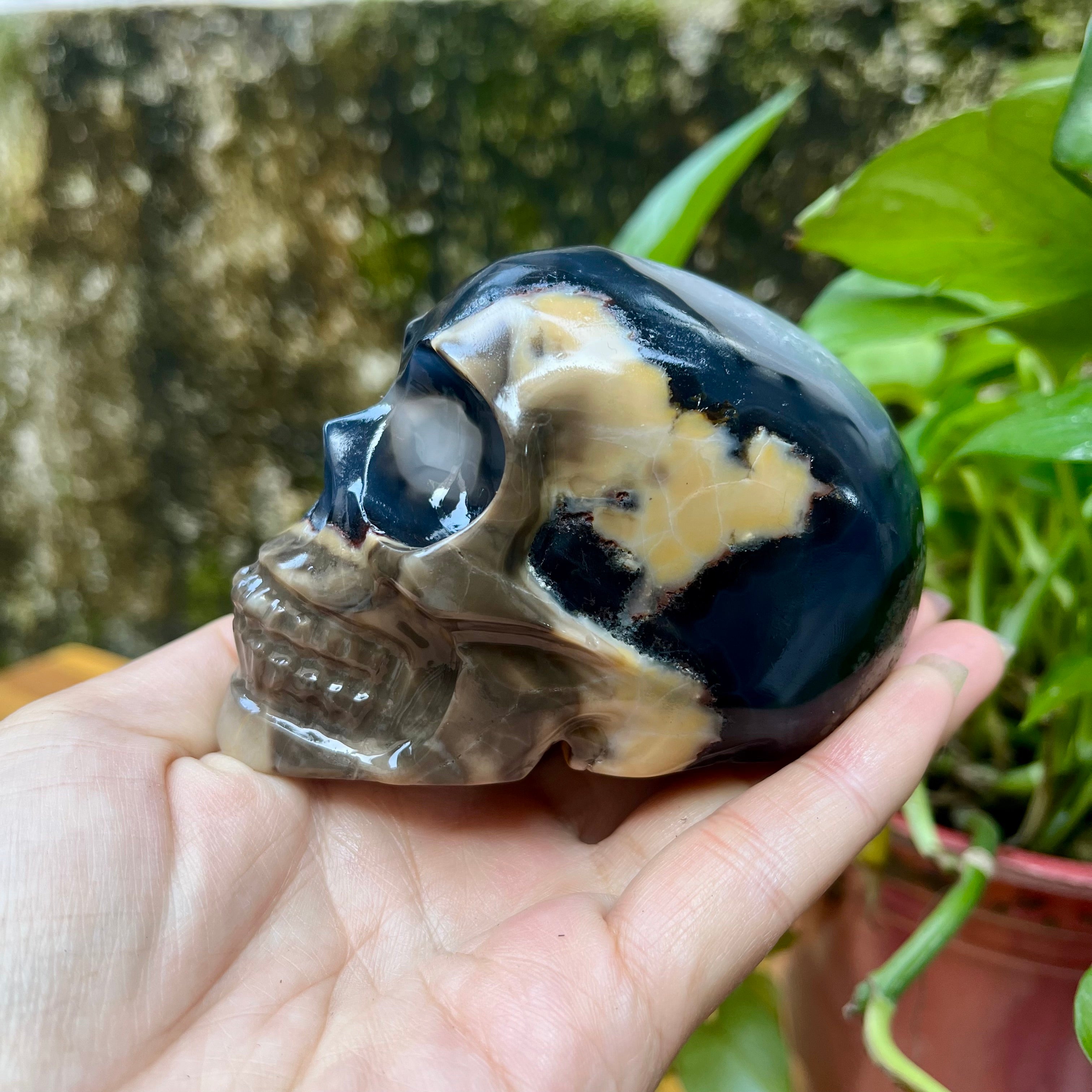 UV Reactive Volcanic Agate Skull Carving