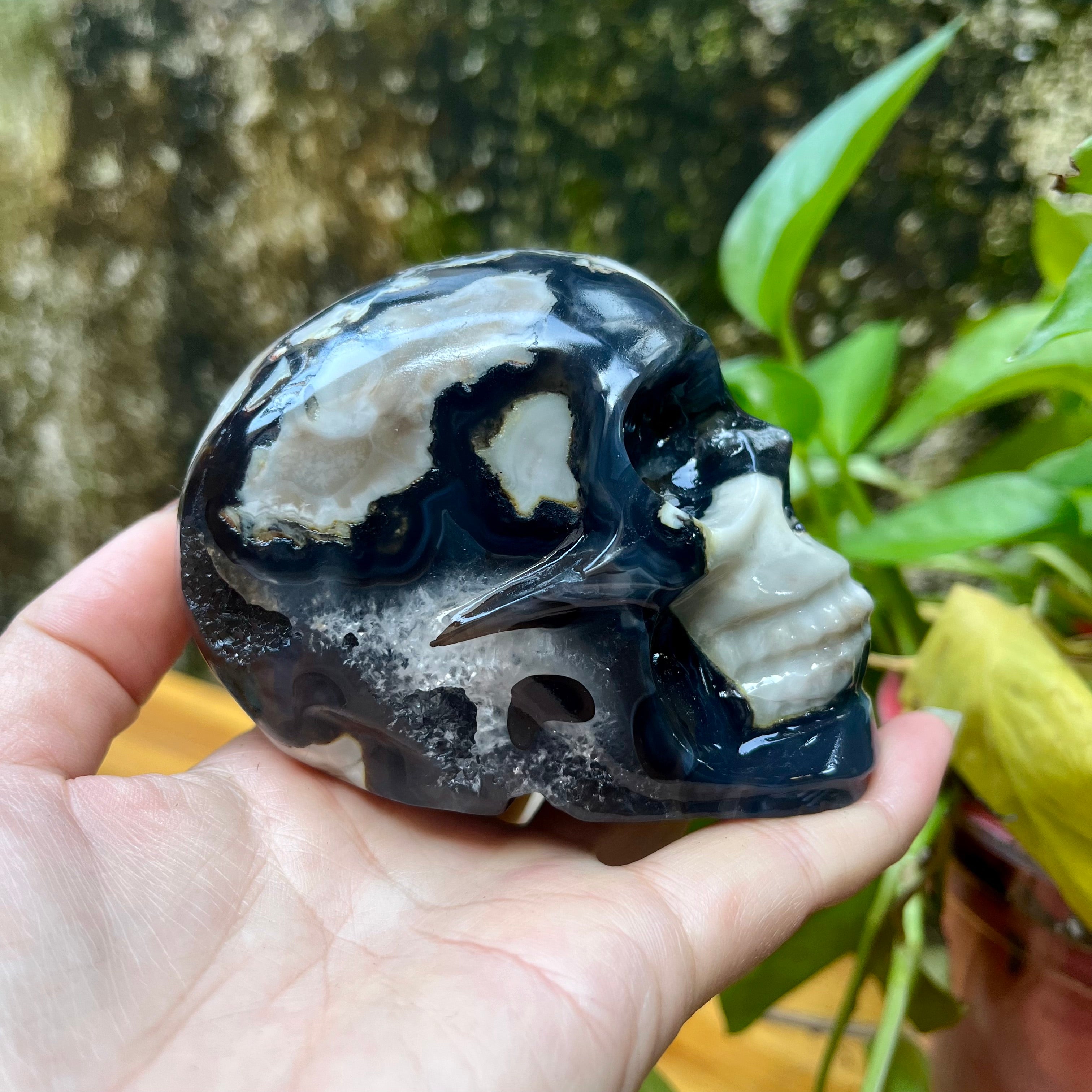 UV Reactive Volcanic Agate Skull Carving