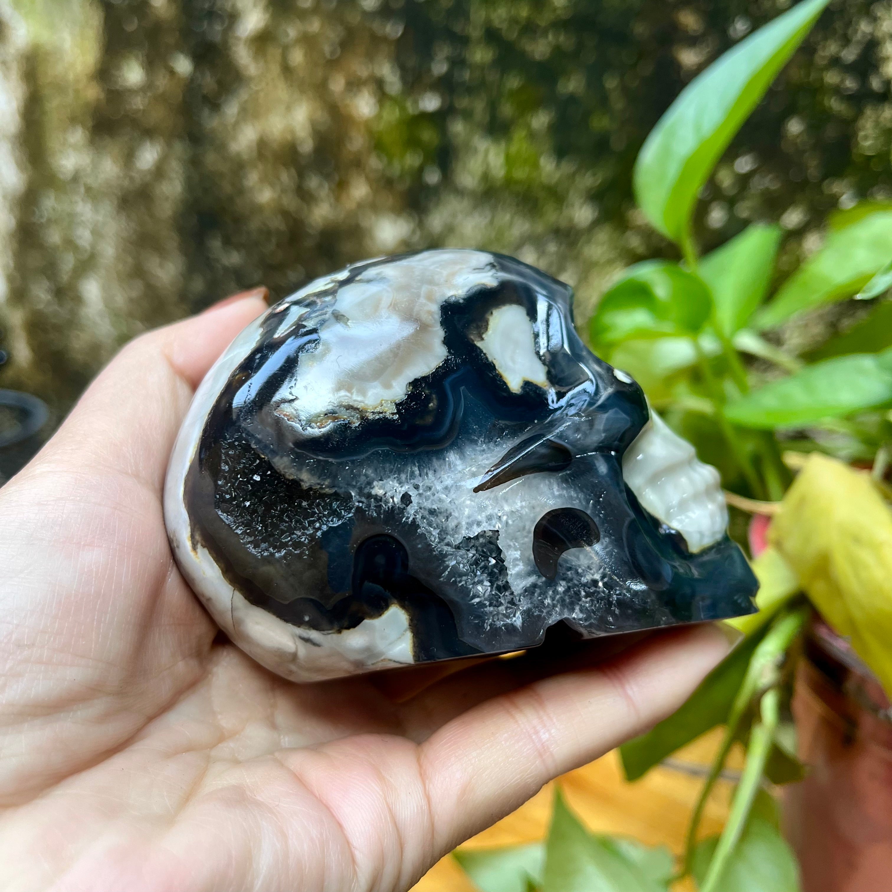 UV Reactive Volcanic Agate Skull Carving