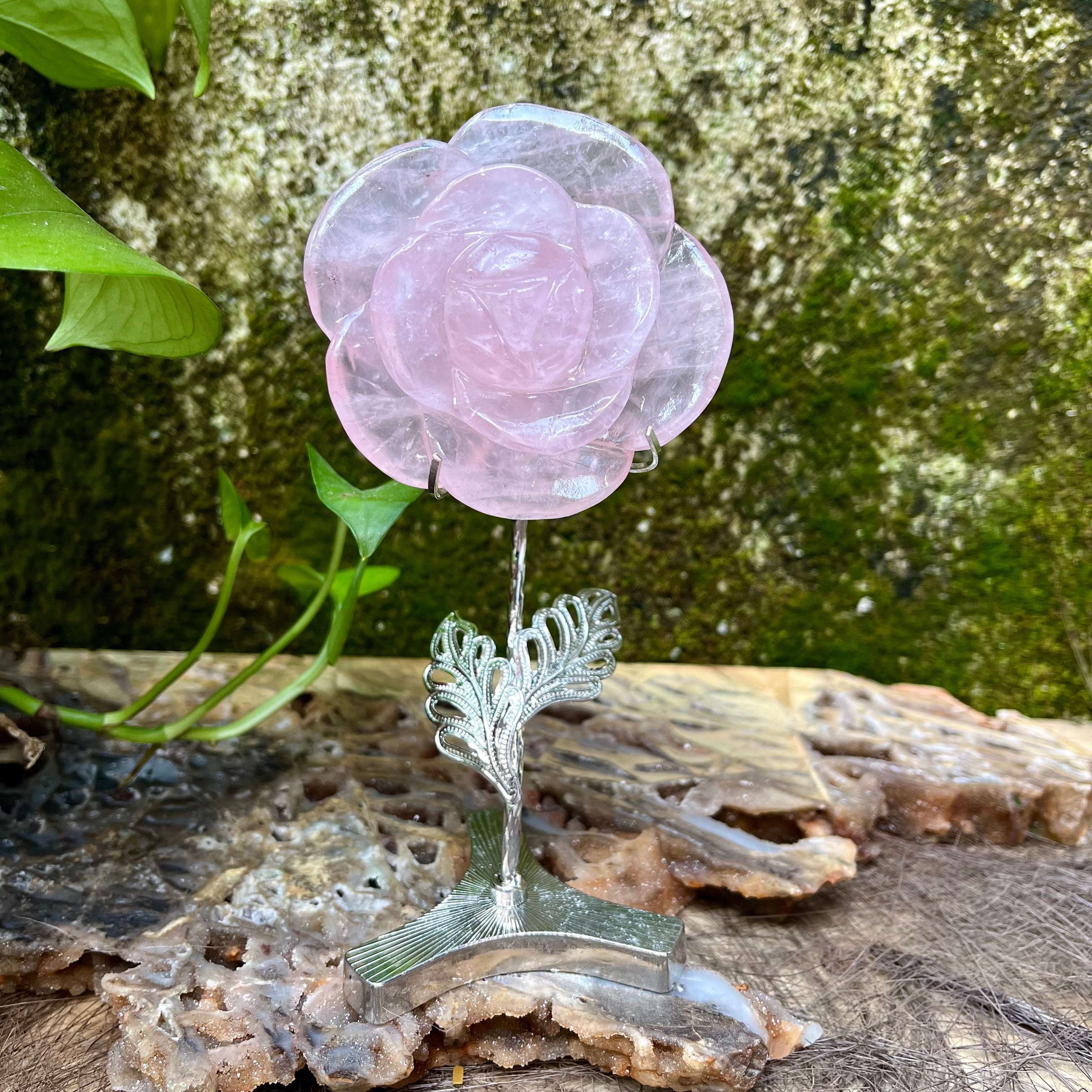 Rose Quartz Rose Flower on Stand Decor (stand included)