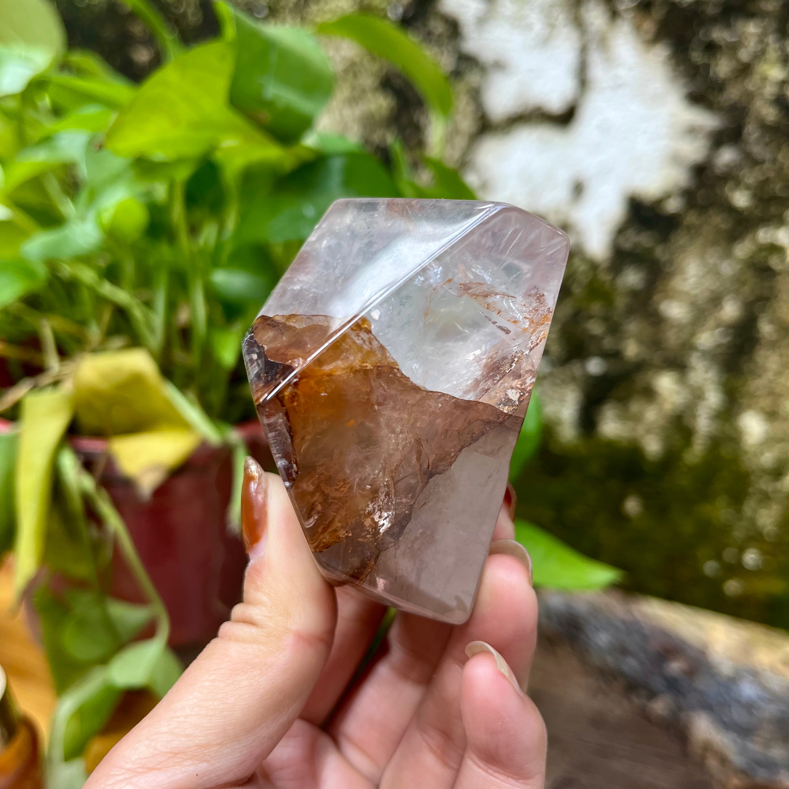 4PCS Golden Healer Free Forms