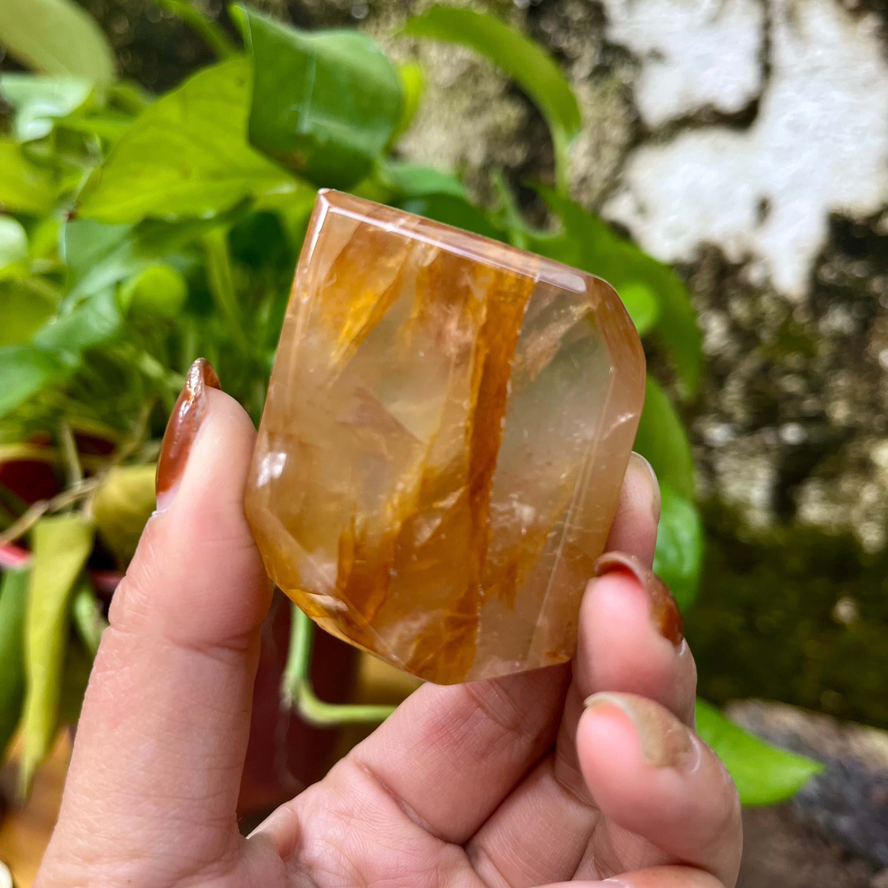 4PCS Golden Healer Free Forms