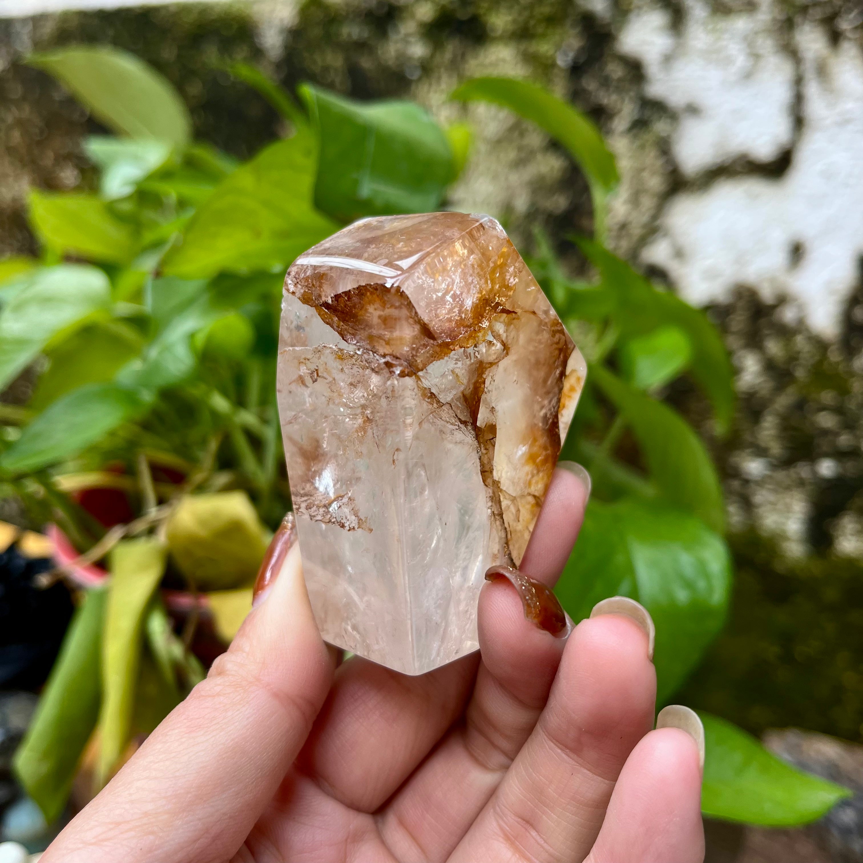 4PCS Golden Healer Free Forms