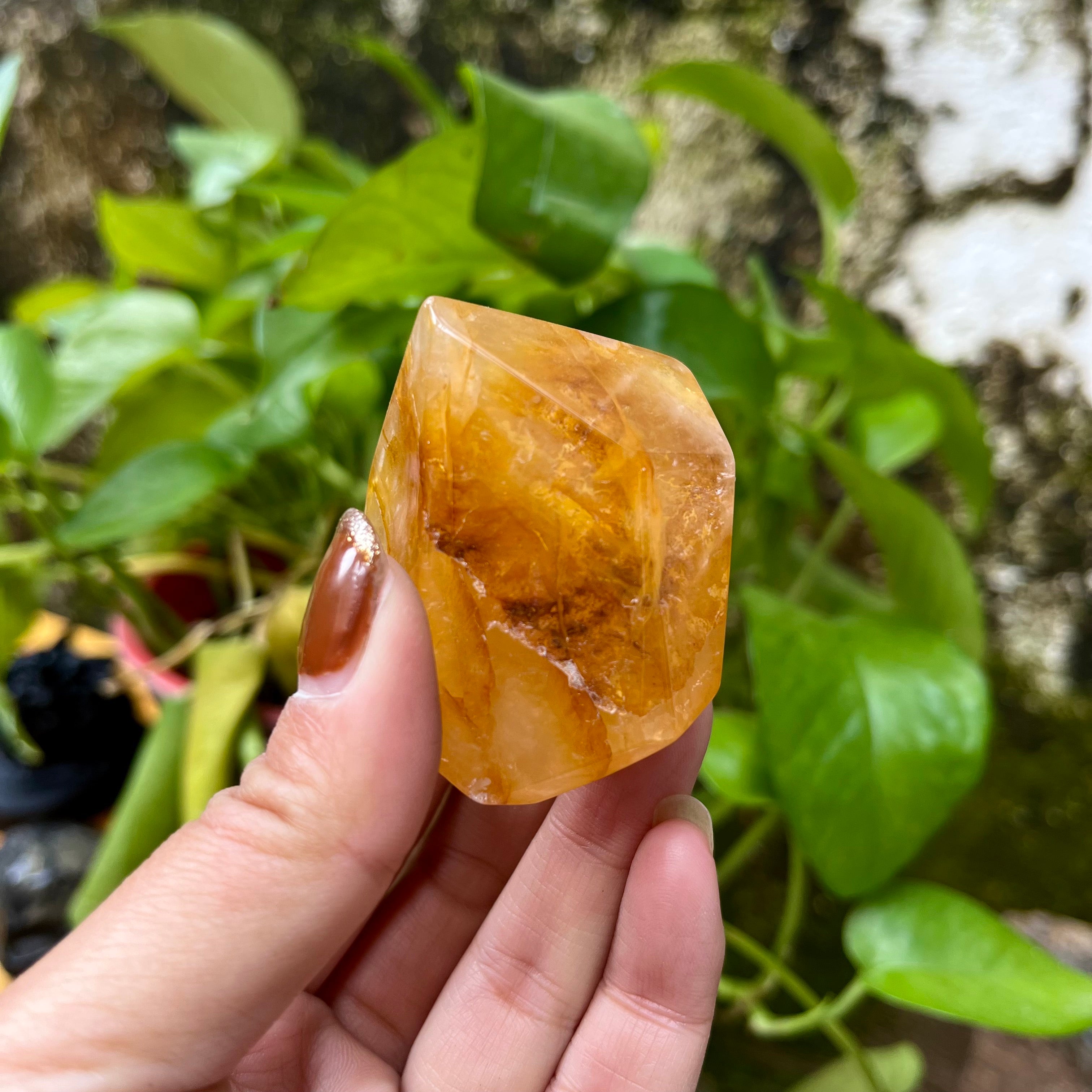 4PCS Golden Healer Free Forms