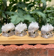 Clear Quartz Cluster Pet Rocks Natural Crystal Stone Baby Groot Hedgehog