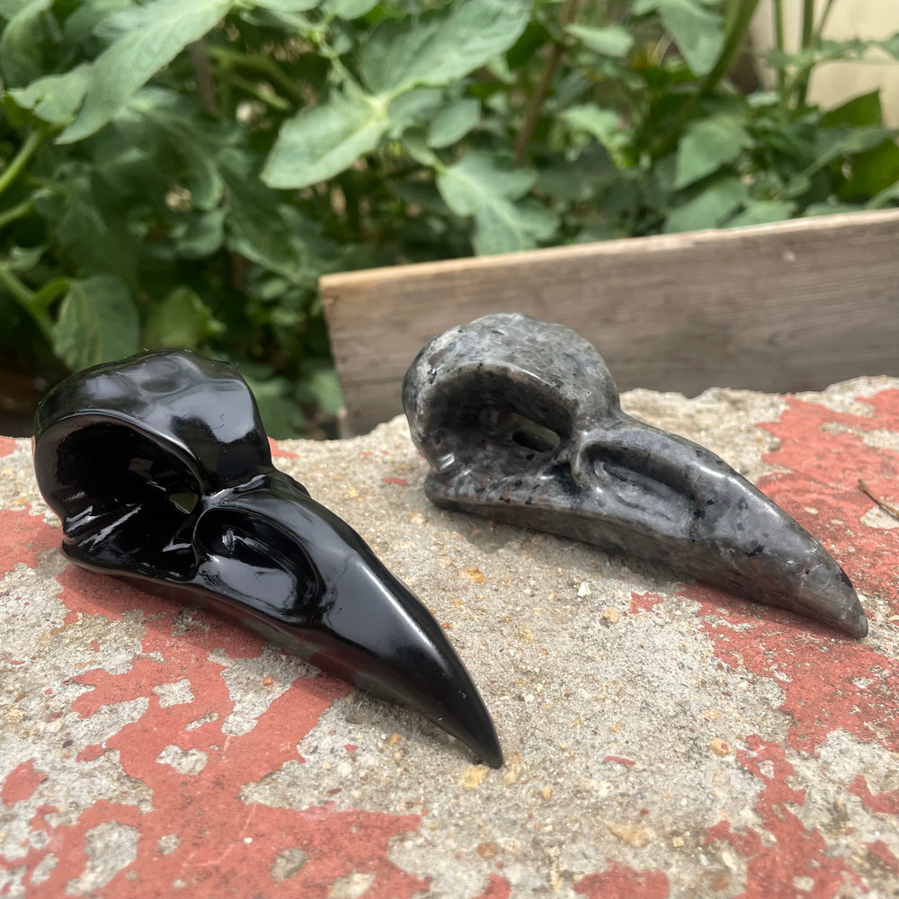 10CM Black Obsidian Yooperlite Raven Skull Crow Carvings