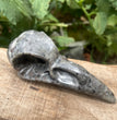 10CM Black Obsidian Yooperlite Raven Skull Crow Carvings