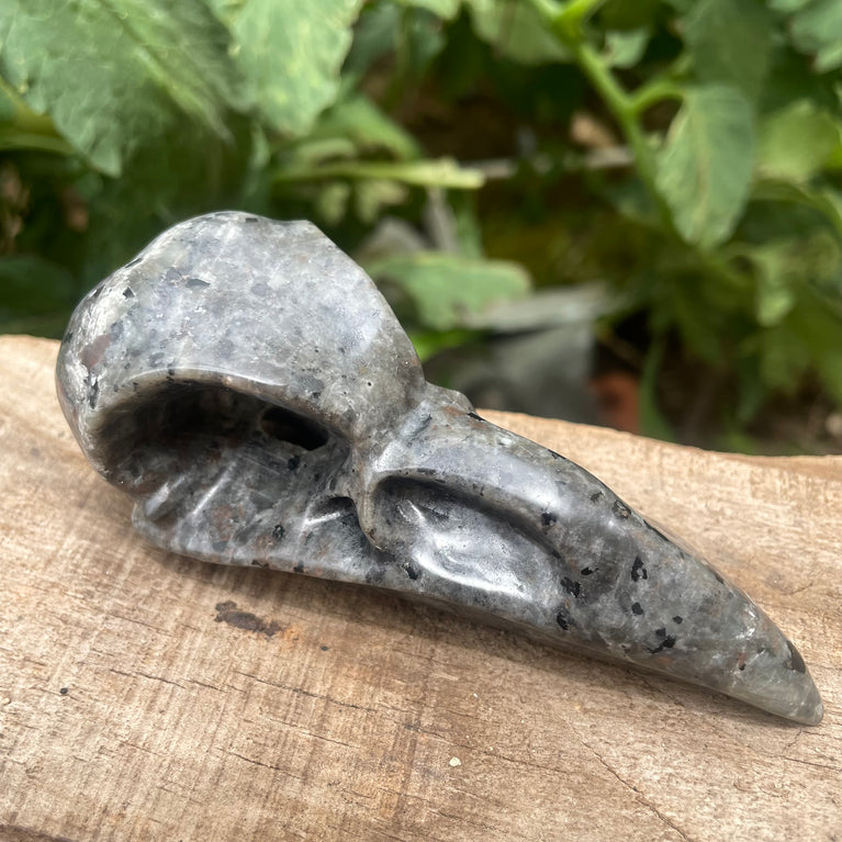 10CM Black Obsidian Yooperlite Raven Skull Crow Carvings