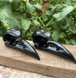 10CM Black Obsidian Yooperlite Raven Skull Crow Carvings