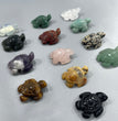 Mini Sea Turtle Natural Stone Carvings Confetti Scoops