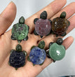 Mini Sea Turtle Natural Stone Carvings Confetti Scoops