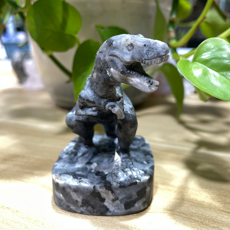 7CM Natural Garnet Larvikite Yooperlite Dinosaur T-Rex Tyrannosaurus Carvings