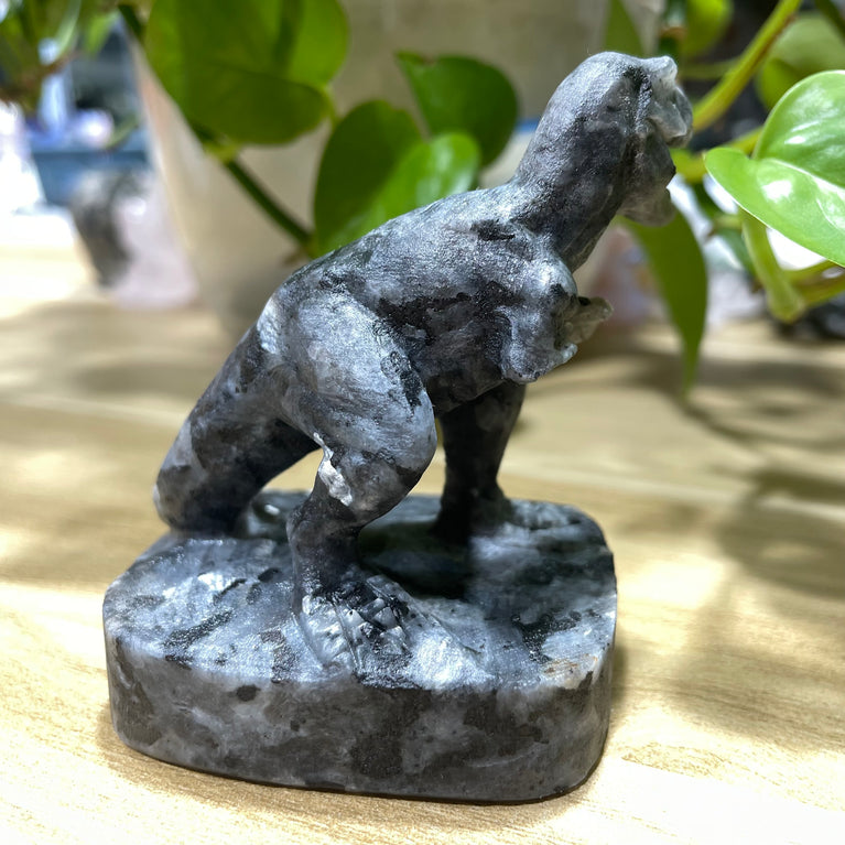 7CM Natural Garnet Larvikite Yooperlite Dinosaur T-Rex Tyrannosaurus Carvings