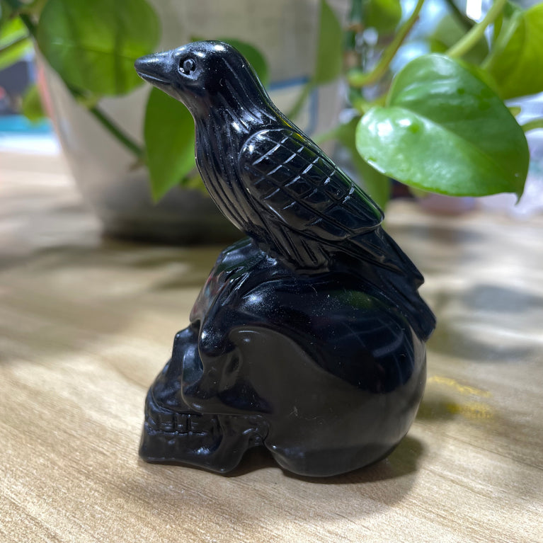 7CM Black Obsidian Raven on Skull Carvings