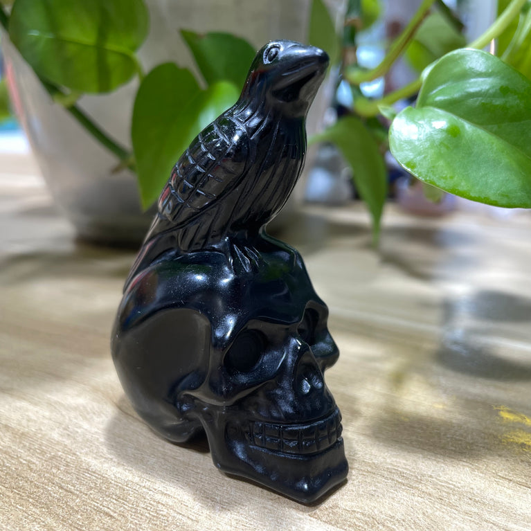 7CM Black Obsidian Raven on Skull Carvings