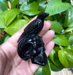 7CM Black Obsidian Raven on Skull Carvings