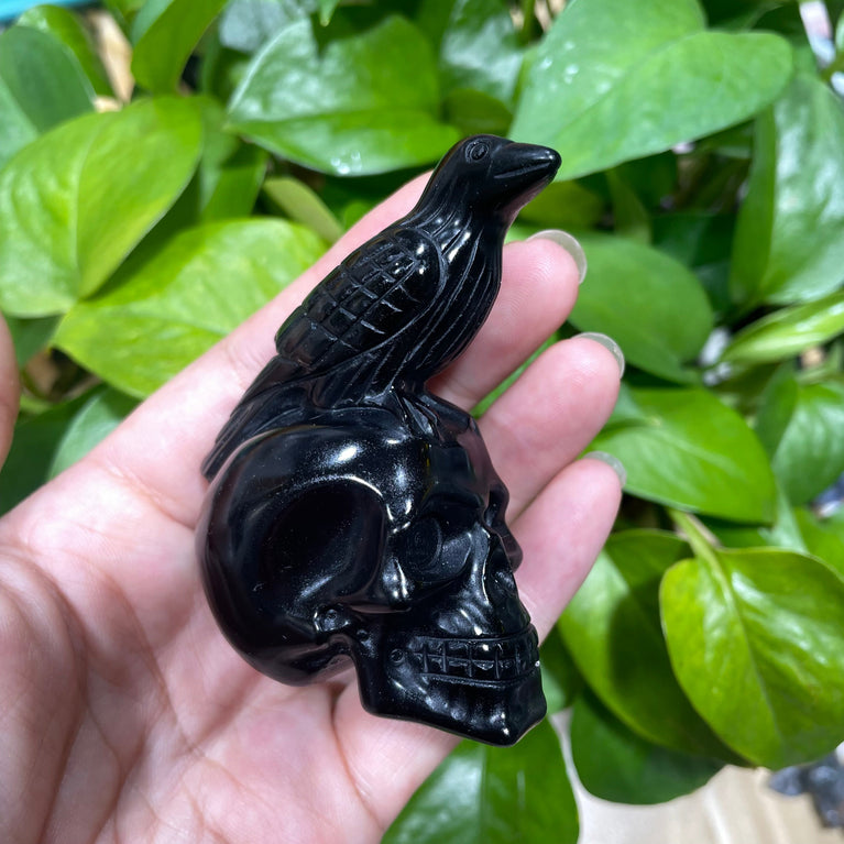 7CM Black Obsidian Raven on Skull Carvings