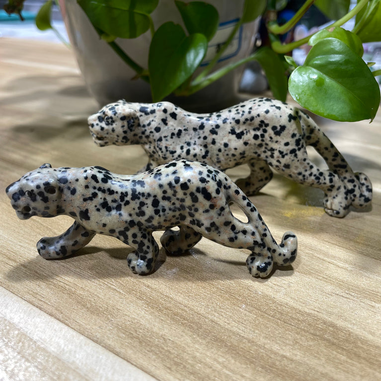 12CM Dalmatian Jasper Leopard Panther Carvings