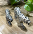 12CM Dalmatian Jasper Leopard Panther Carvings