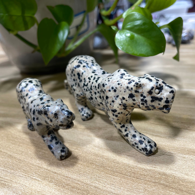 12CM Dalmatian Jasper Leopard Panther Carvings