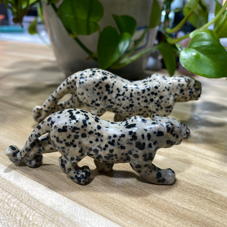 12CM Dalmatian Jasper Leopard Panther Carvings