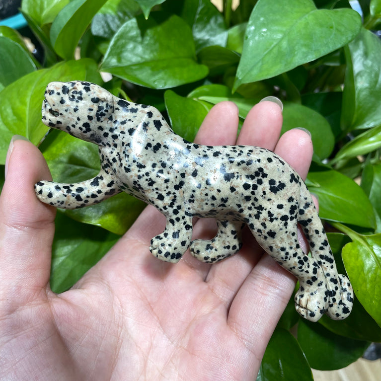 12CM Dalmatian Jasper Leopard Panther Carvings