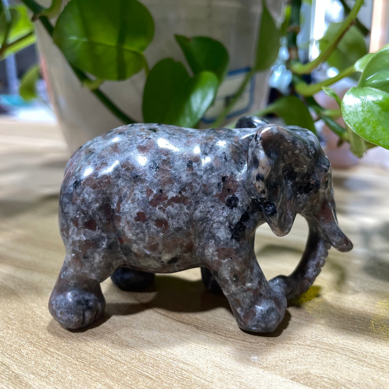 8CM Yooperlite Elephant Carvings