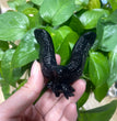 6.5CM Black Obsidian Flying Eagle Carvings