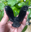 6.5CM Black Obsidian Flying Eagle Carvings