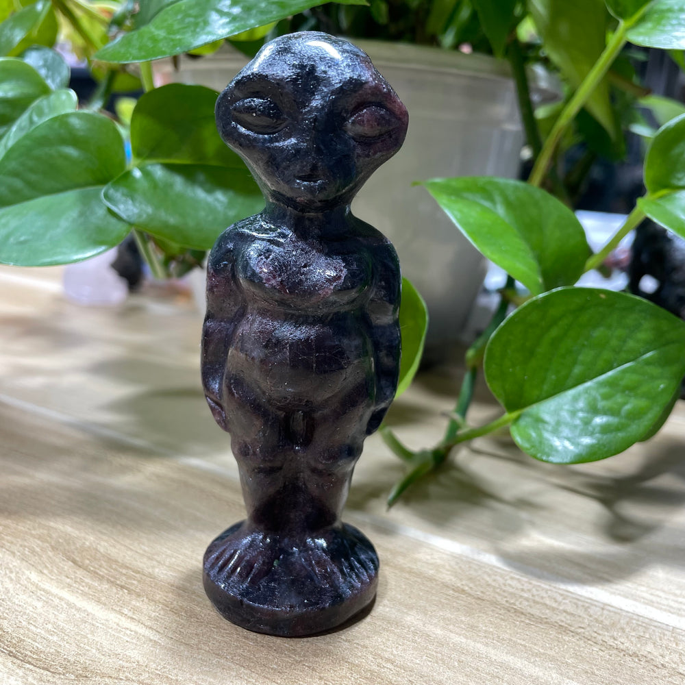 10CM Garnet Alien Full Body Carvings