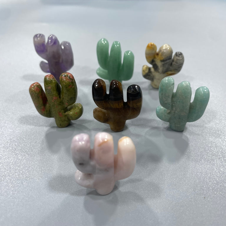 Mini Cactus Natural Stone Carvings Confetti Scoops