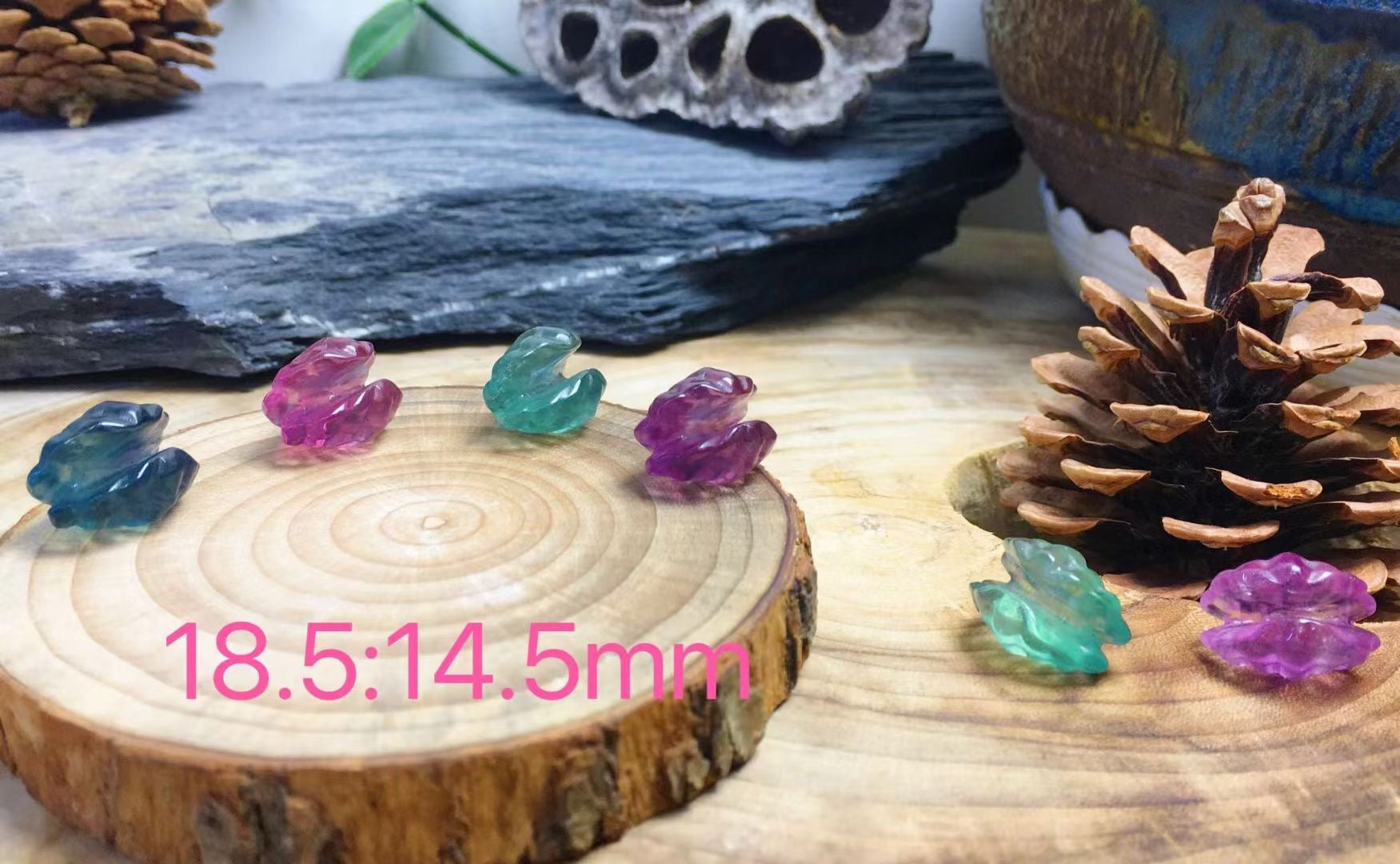 Mini Fluorite Clam Shell Natural Crystal Carvings