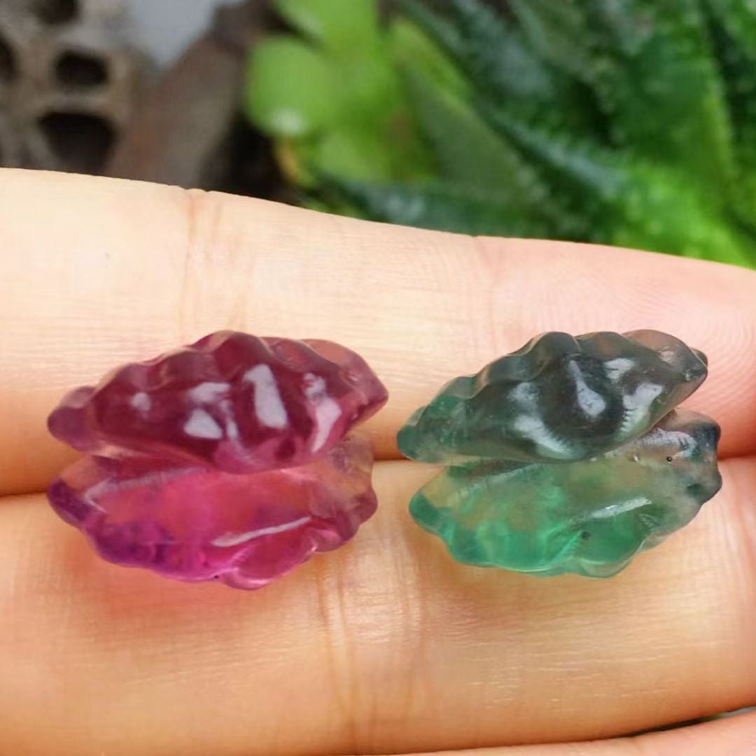 Mini Fluorite Clam Shell Natural Crystal Carvings