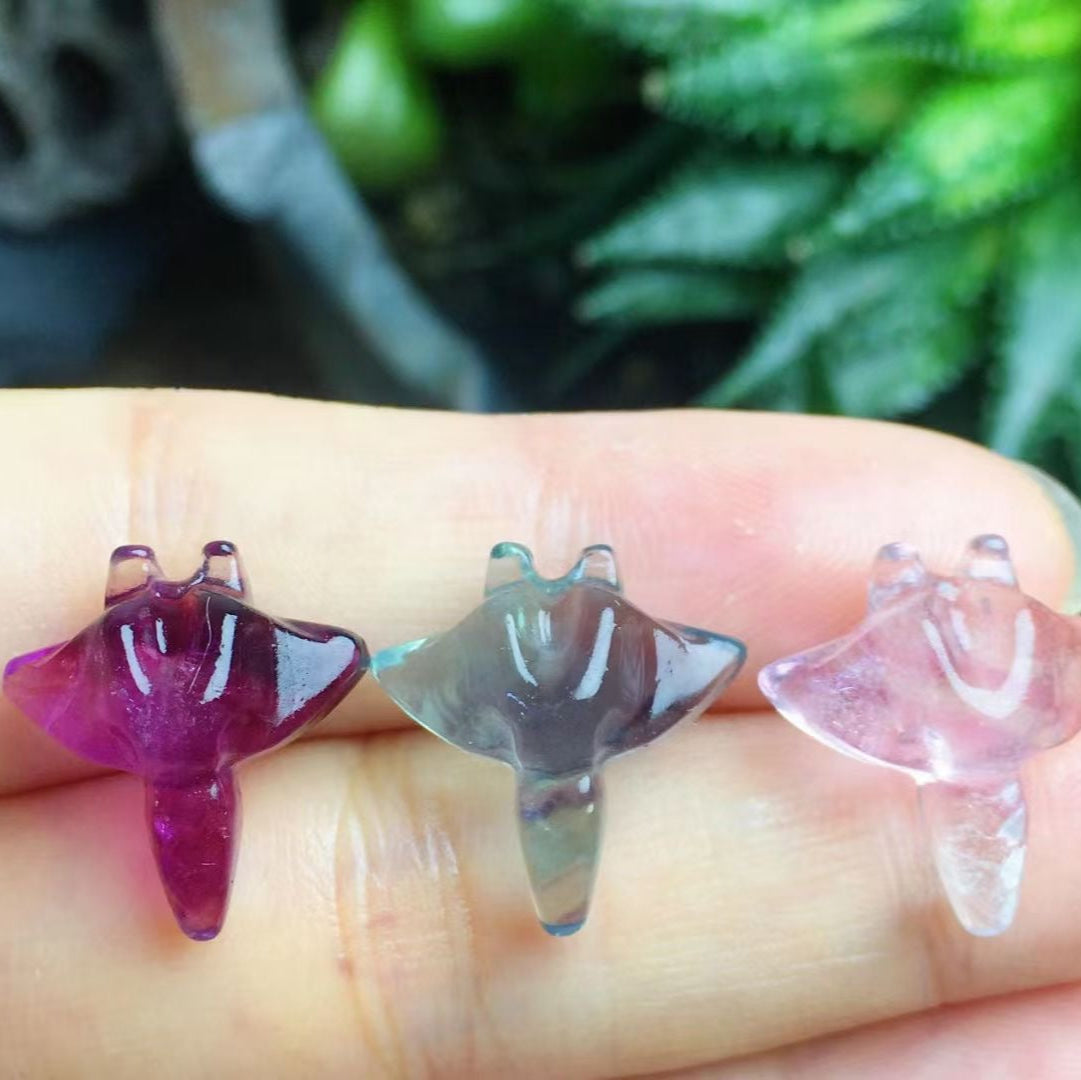 Mini Fluorite Manta Ray Natural Crystal Carvings